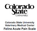 Visual Analog Scale No Pain Worst Possible Pain More are Being Developed Signs of Acute Pain in Dogs Posture Temperament Vocalization Movement Other