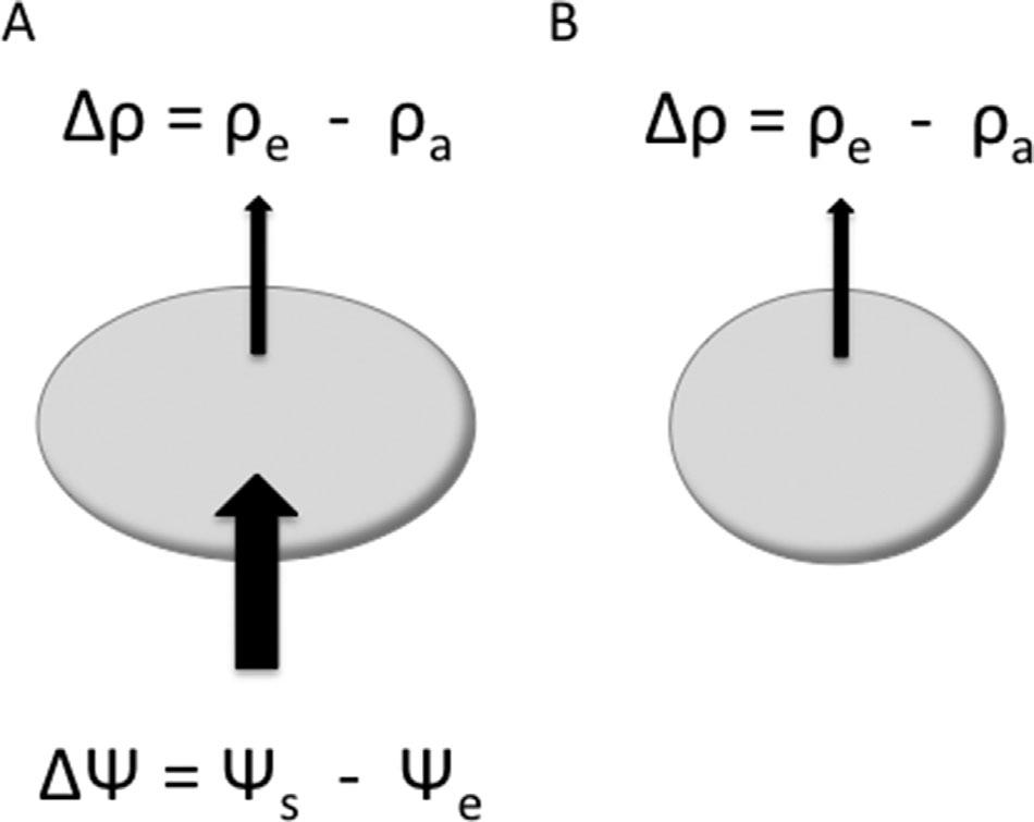 608 ANDREWS Figure 1. The likely direction and magnitude (arrows) of water exchange for two types of squamate eggs given incubation conditions used in this study (after Tracy et al.