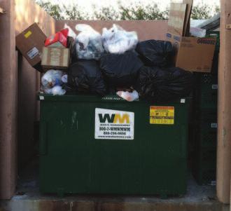 Garbage and clutter around the perimeter provide food harborage areas for rodents.