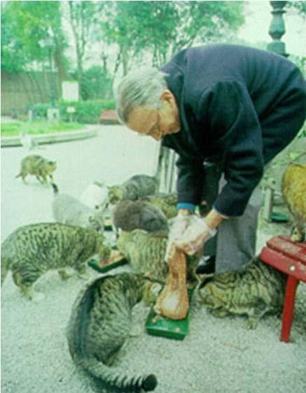Control of community cats One of the most controversial issues in animal