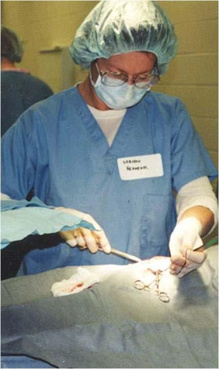 Spays Surgeon pace should be the limiting step of the clinic Surgeons should never wait for a cat Surgeons change gloves