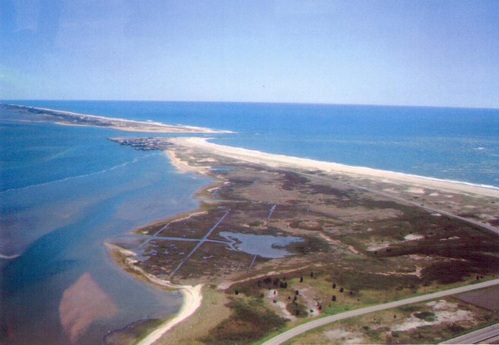 CONCEPTUAL ECOSYSTEM MODEL FIRE ISLAND INLET MONTAUK POINT