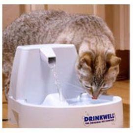 A water fountain in action. Arthritis Arthritis is something we tend to associate primarily with older, large breed dogs but in fact all breeds of dogs and even cats can be affected.