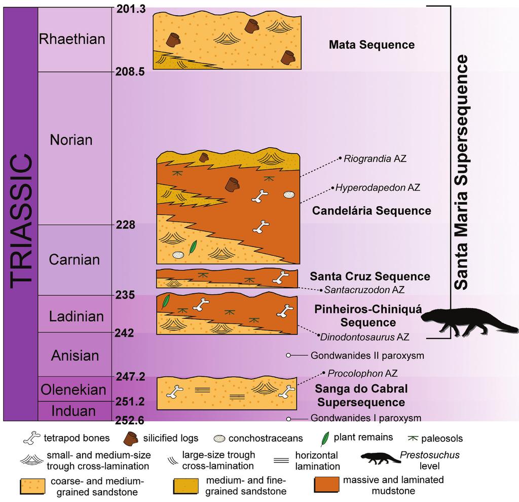 Subnarial foramen in Prestosuchus 5 Figure 3 - Stratigraphic framework of the Triassic package from southern Brazil showing the Riograndia AZ; Hyperdapedon AZ; Santracruzodon AZ; Dinodontosaurus AZ;