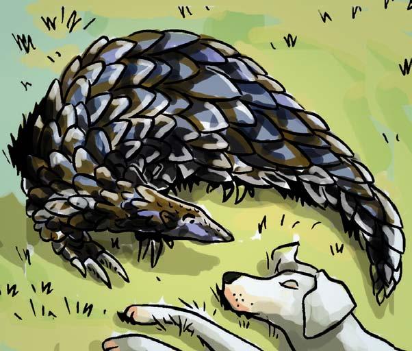 Its body was covered with rough scales. The pangolin was very slow.