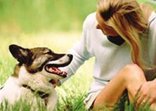 Pet Lovers have unconditional love for their pets