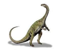 Prosauropod