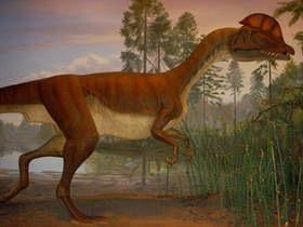 Dilophosaurus depthome.brooklyn.cuny.