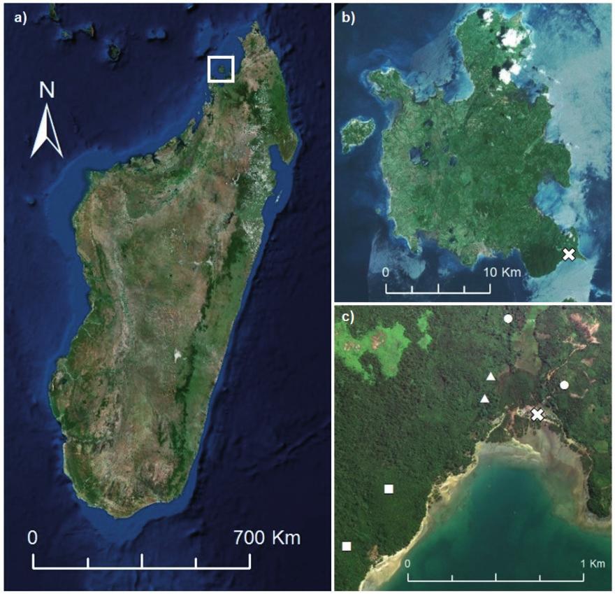 Humphrey and Ward 3 Figure 1. (a) A satellite image of Madagascar indicating the island of Nosy Be off the northwest coast. (b) The white cross indicates the village of Ambalahonko (13.405 S, 48.