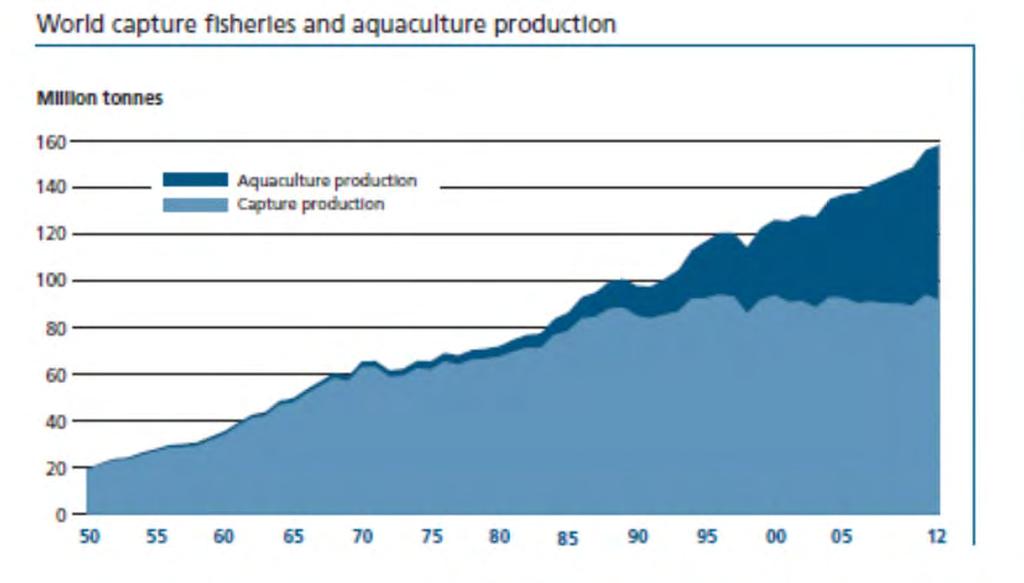 2012-158Mmt produced (136Mmt eaten) 2012 - aquaculture produced 90Mmt ($144bn) Asian aquaculture produces almost 90% by volume >600 farmed species (incl. ~40 spp.