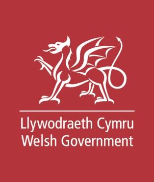 Number: WG34993 Welsh Government Consultation Summary of Responses Code of Practice for the Welfare of Dogs May 2018 Mae r