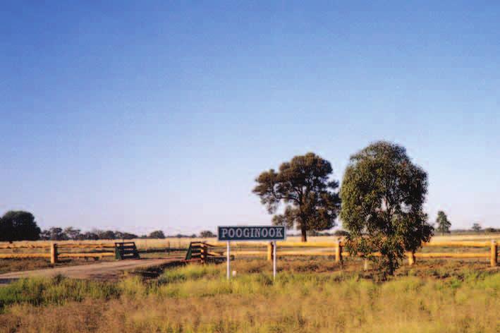 A group of 120 Australian wool growers came together in 1995 to promote the Merino genetic brand, Pooginook by: Working with wool processors to differentiate the inherit characteristics of Pooginook