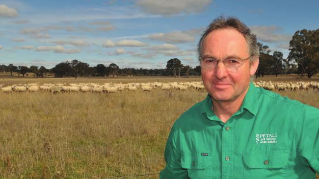 Welcome to Petali Martin Oppenheimer, Principal Welcome to the 24th Petali On Property Ram sale We are pleased to present our latest genetics for your inspection and want to discuss some of the