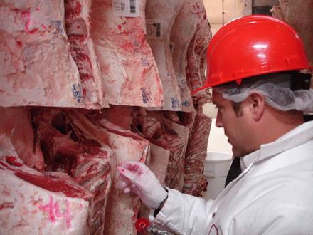 Producer Case Scenario #1 BEEF NUTRITION All beef goes through a rigorous inspection