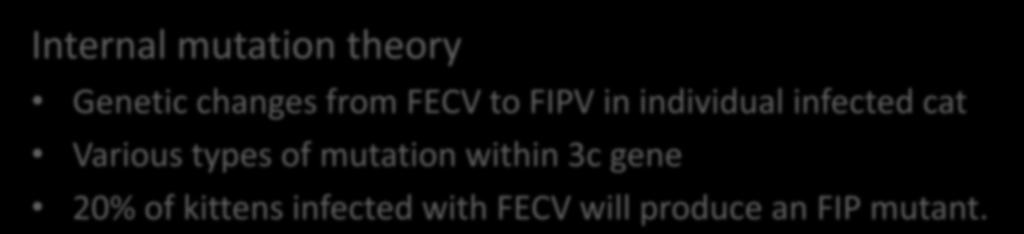 Mutation: when FECV turns into FIPV Internal mutation theory Genetic changes from FECV to FIPV in individual