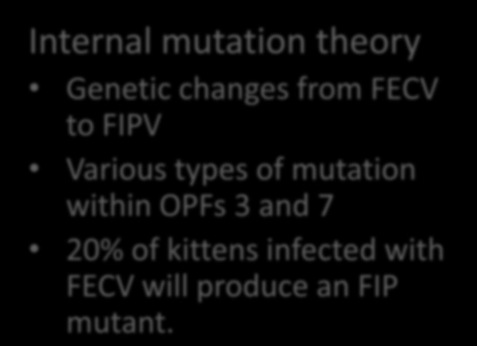 kittens infected with FECV will produce an FIP mutant.