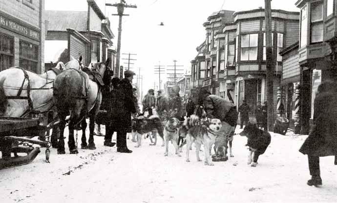 An excited crowd greets Gunnar Kaasen and his team of dogs as they arrive in Nome with the diphtheria medicine. would be littered with ice rubble, which could shred a dog s paws.