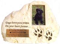 memory of your pet, but also about treasuring and embracing their lives now.