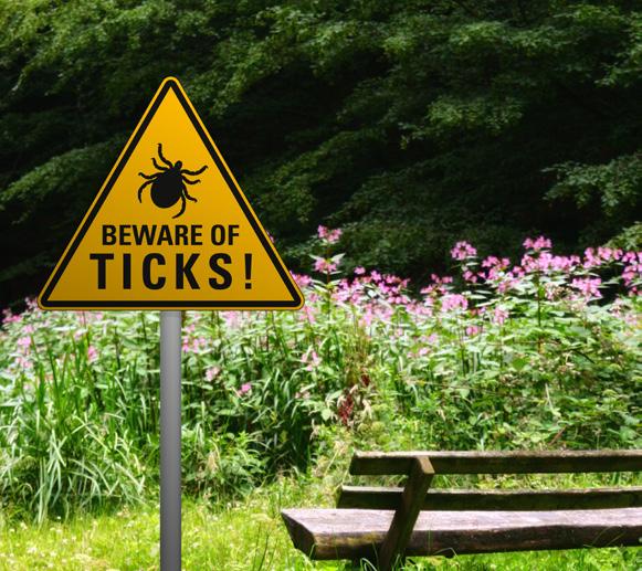 tick and the disease. The prevalence of ticks in Canada is increasing.