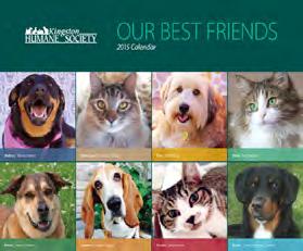 Filled with beautiful photos of beloved pets in our community.