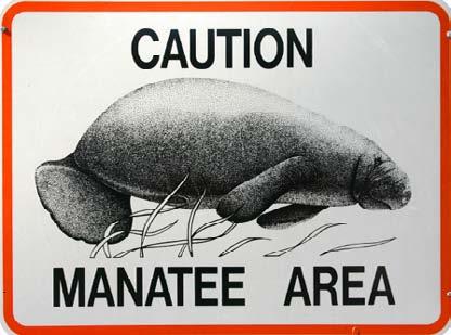 ) fat under the skin that keeps marine mammals. warm (p. 11) extinct (adj.) no longer in existence (p. 17) marine a mammal that lives in mammal (n.) water (p. 6) migrate (v.