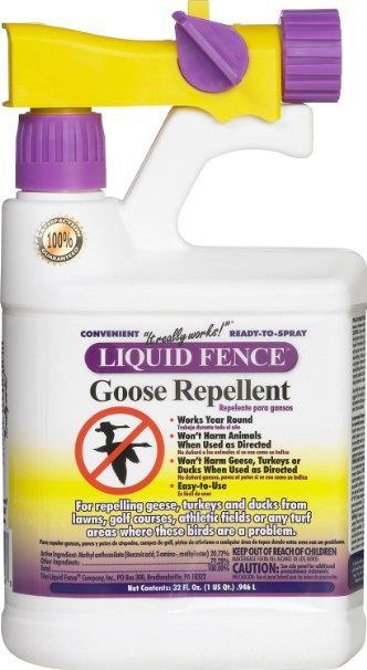 Taste-aversion products and other chemical repellents may be applied directly to the problem area and will not permanently harm the geese.