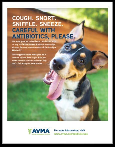 AVMA Veterinary Posters 29