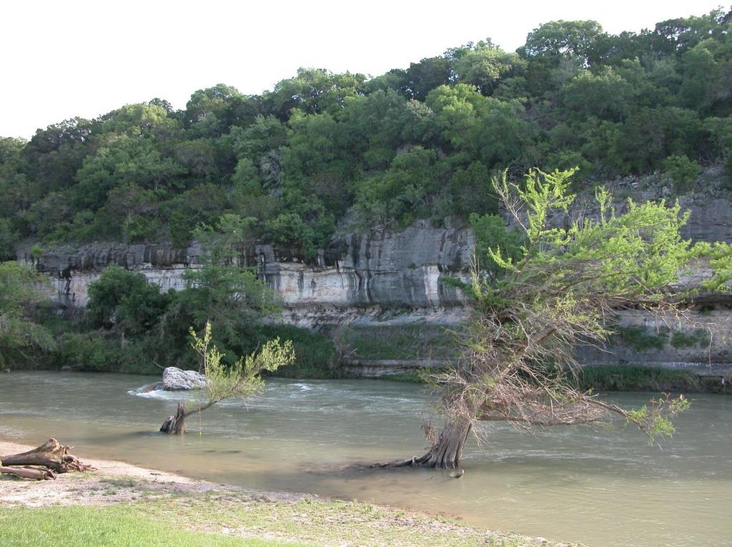 Guadelupe River, Texas, habitat of Graptemys caglei (Photo by Beate Pfau) Map turtles inhabit mainly broad rivers, and their population density correlates with deadwood in the middle of the stream