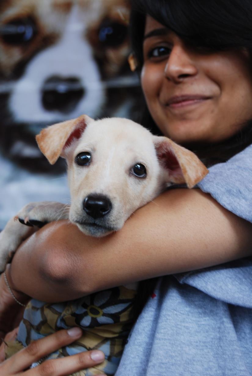 2000 homeless puppies have FOUND HOMES 3 Deaths in 9 years Change in people s attitude. Increase in community participation Growing Demand for rescued puppies.