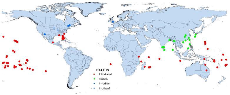 Global distribution of