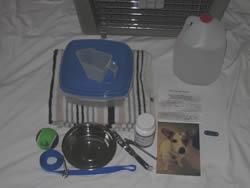 shelter are also listed 98 Pet Disaster First Aid Kit Establish a disaster first aid kit before the need arises http://www.canismajor.com/dog/fstaidk.