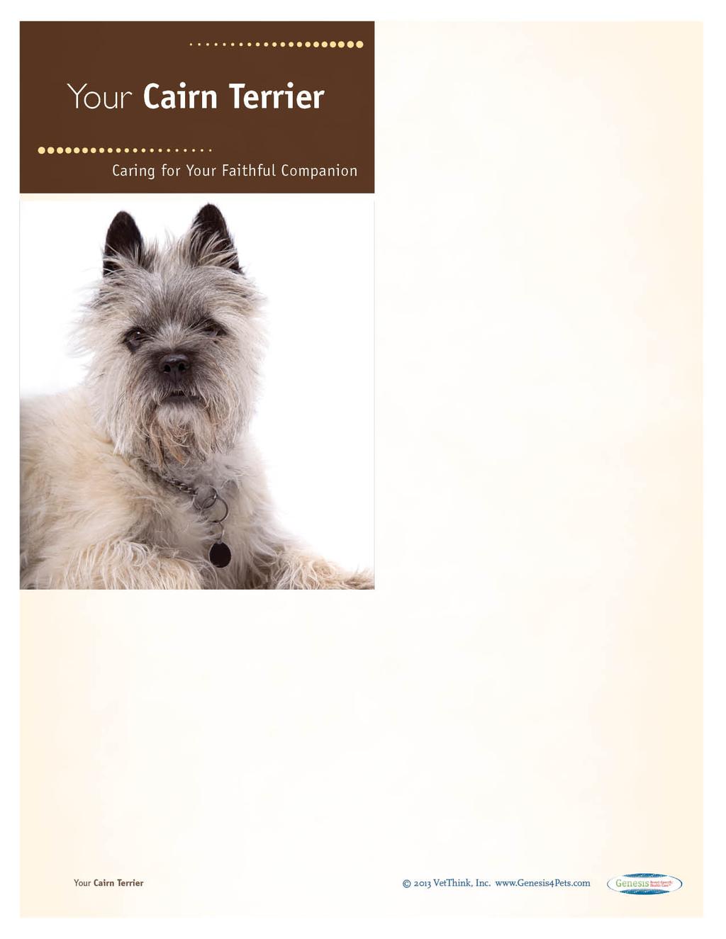 Cairn Terriers: What a Unique Breed! Your dog is special! She's your best friend, companion, and a source of unconditional love.