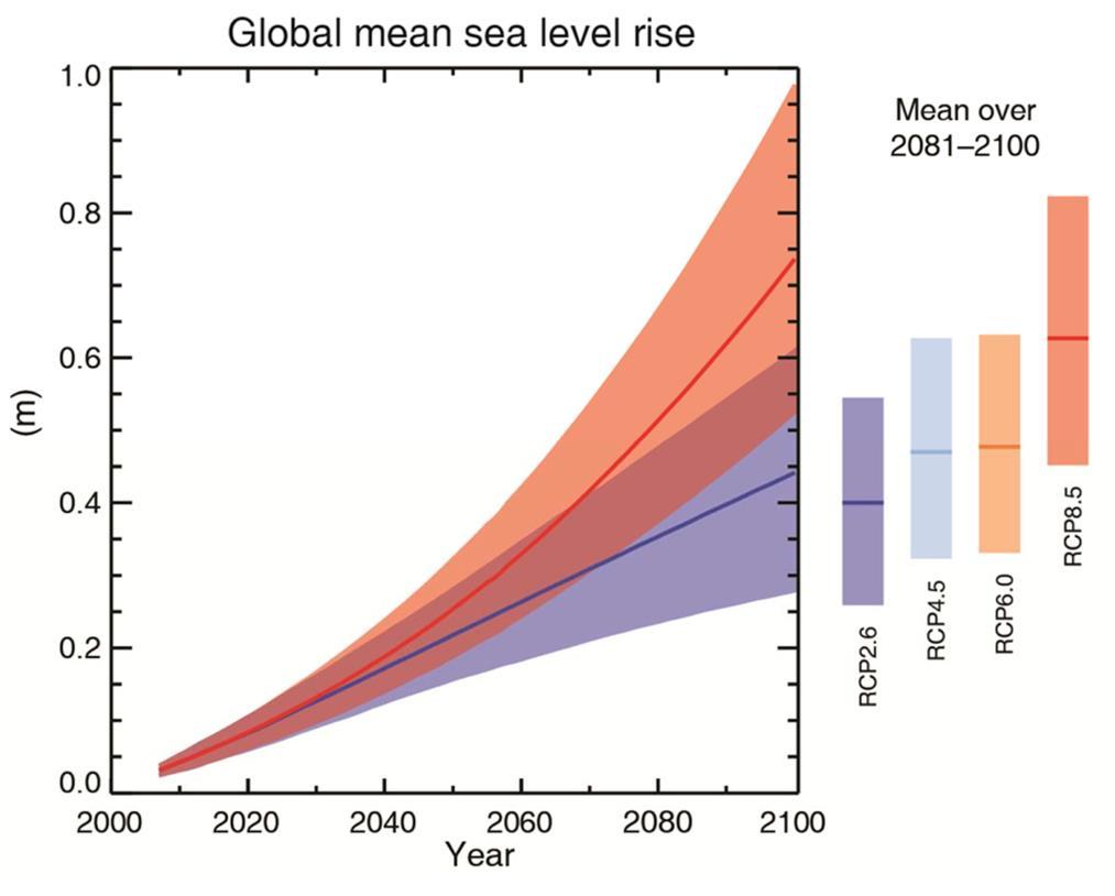 Global mean sea level will continue to rise during the 21st century.