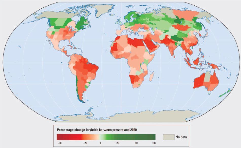Global impacts of climate change on crop