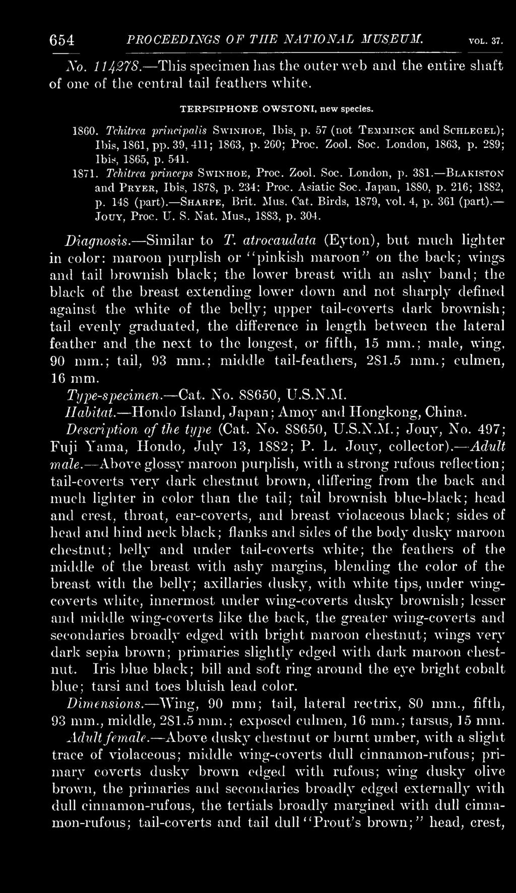 Tchitrea princeps Swinhoe, Proc. Zool. Soc. London, p. 381. Blakiston and Pryer, Ibis, 1878, p. 234; Proc. Asiatic Soc. Japan, 1880, p. 216; 1882, p. 148 (part). Sharpe, Brit. Miis. Cat.