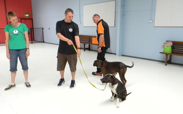 Alpha One-on-One Tuition All Alpha private tuition sessions are conducted by professional Alpha Canine Behavioural Trainers who have their own well trained and behaved dogs with them for