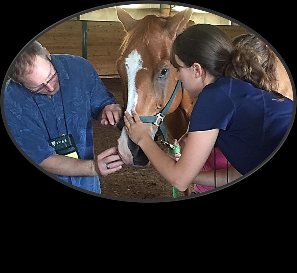 I GOT THROUGH THE COURSE, COMPLETED MY INTERNSHIP AND PASSED ALL THE EXAMS - NOW WHAT? The most difficult part of becoming a Certified Veterinary Acupuncturist (CVA) is done.
