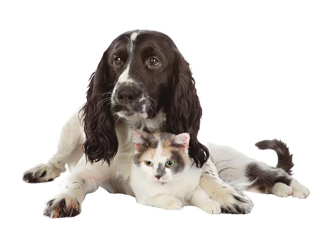 Pet Care Physical care and wellness products. Just like humans, pets can suffer from anxiety attacks, bone & joint pain, and dry, itchy skin.