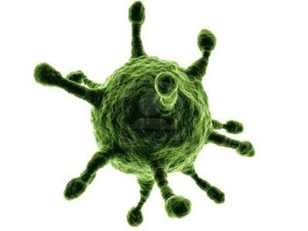 Viruses Viruses Transmitted person to person contract through fecal contamination but can be spread through contaminated food and