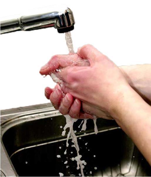 Health and Hygiene Health: Absence of illness, injury Hygiene: Cleanliness, good handwashing practices