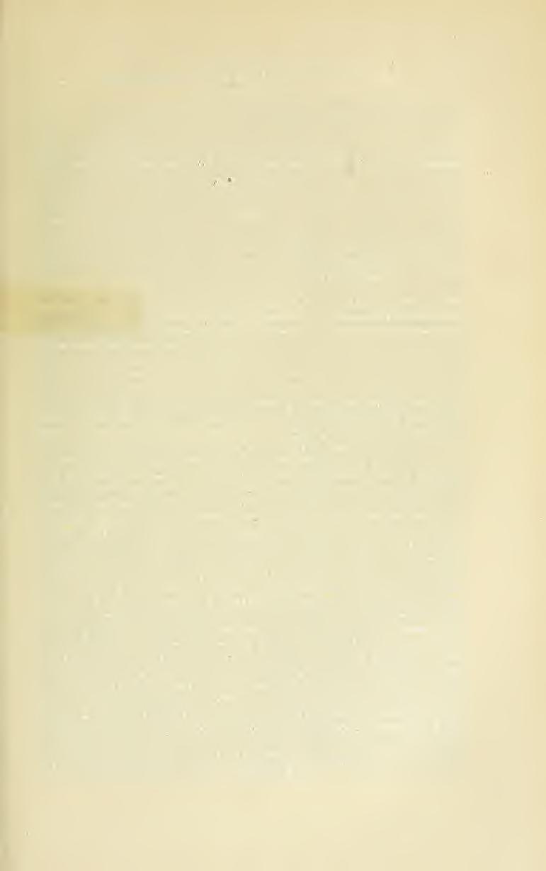 ariapampa, Revista Chilena de Entomología 1951, 1 (27 de diciembre) NEW OR LITTLE-KNOWN TIPULIDAE FROM THE ANDES MCñjNTAINS (Díptera) Charles P.
