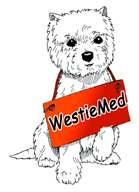 WestieMed News Summer 2013 VOLUNTEER WITH US! imagine A WORLD WITH NO HOMELESS WESTIES. THAT S WHAT WESTIEMED IS ALL ABOUT WestieMed is looking for volunteers to help with the following and more!