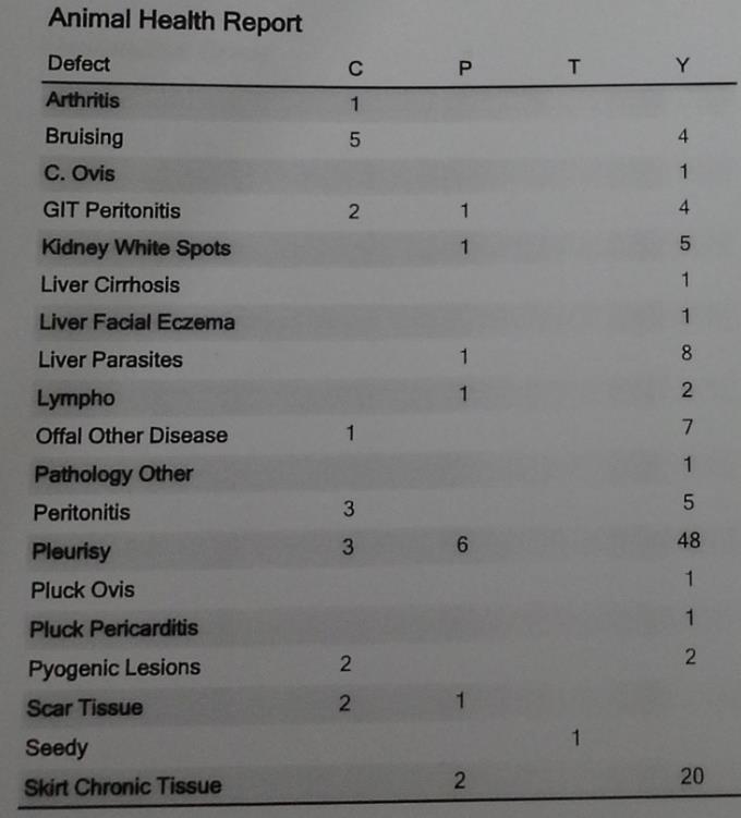 liver report.