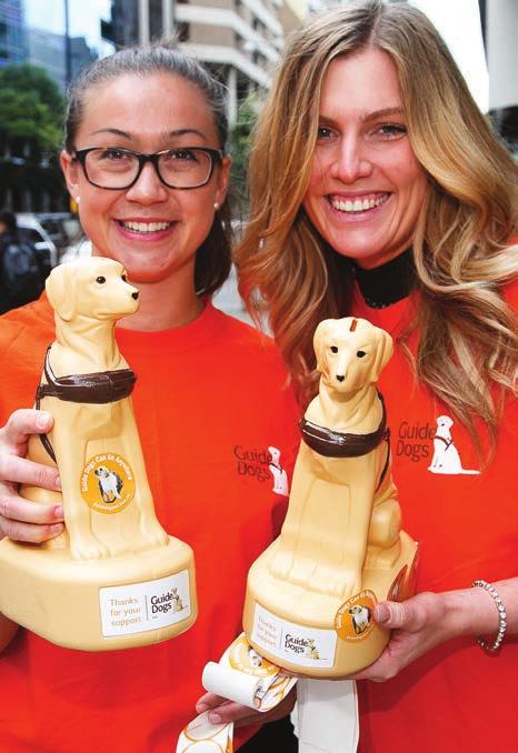 Street Appeal 2016: Get on Board with Guide Dogs Help us celebrate the freedom, independence and companionship a Guide Dog brings to a person who is blind or vision impaired.