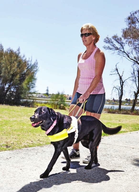 Guide Dog Cali Restores Jayne s Trust At just 20, Jayne found herself in an unthinkable situation.