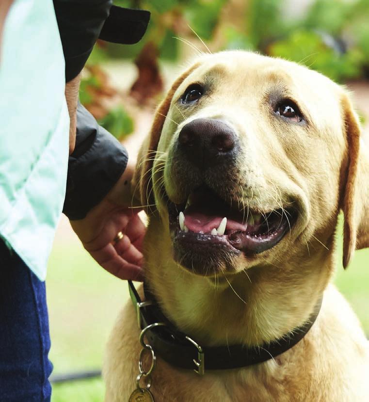 Meet the Instructor Guide Dog Instructor Jean Eastland loves