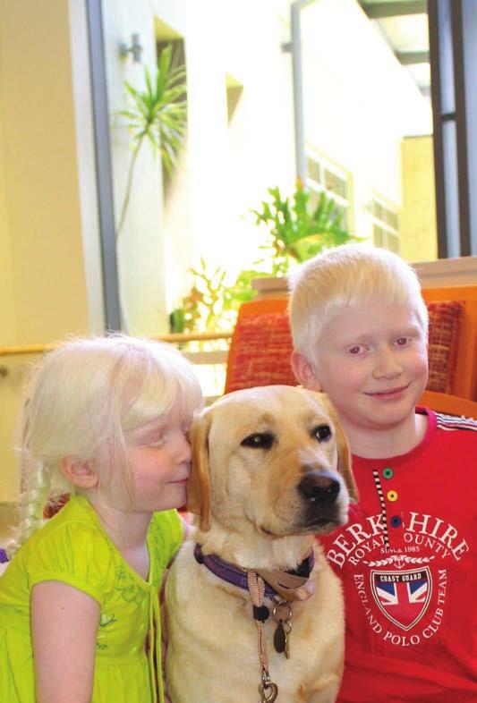 Gidgee Gets a Paw-some Partner Guide Dogs WA has a new ambassadog: Luna the yellow Labrador!