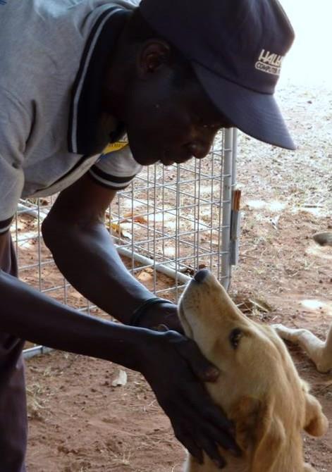Developing Human-Animal Bonds The Comfort Dog Project uses animal companionship as an integral