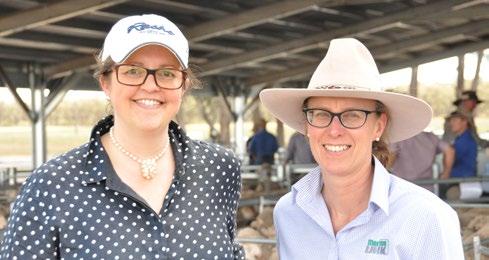 Sheep are run on improved pastures which receive approximately 500 mm of winter effective rainfall. MLP Project Manager, Anne Ramsay and MerinoLink, Temora MLP Site Manager, Sally Martin.