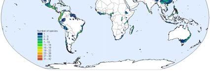 Current Status of Amphibian Populations Threatened Species Global Amphibian Assessment Current Status of Amphibian